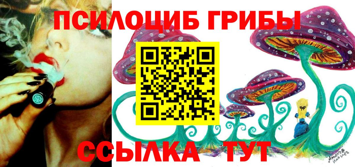 Галлюциногенные грибы прущие грибы Калач-на-Дону